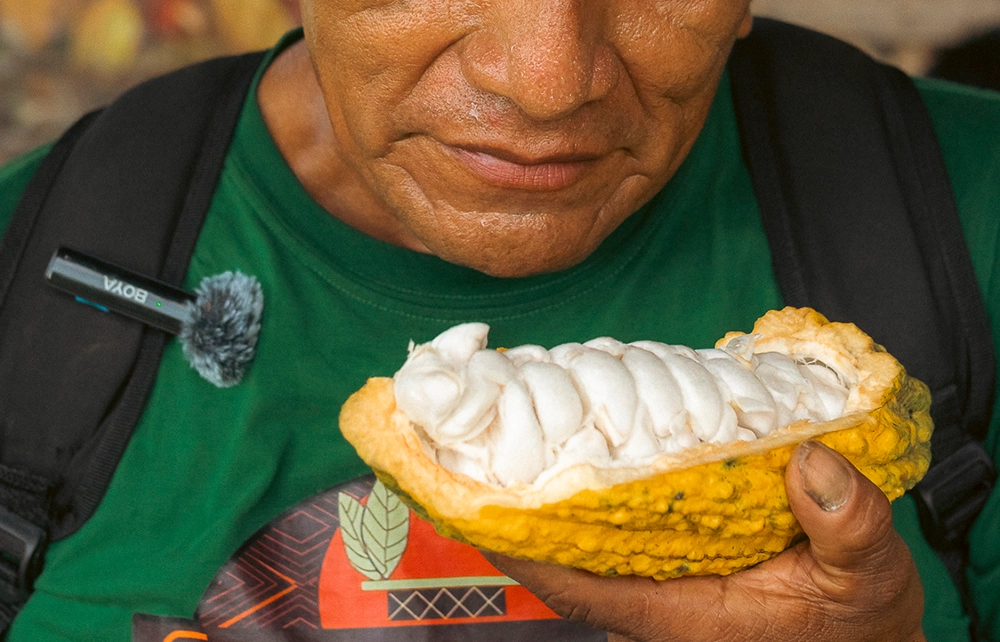 Proyecto de audiovisual con la marca Aprosem, asociación de productores de café y cacao en los departamentos de Junín y Cajamarca.